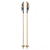 Åsnes Cecilie Bc Pole