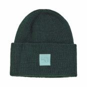 Kari Traa Kyte Beanie Dark Green