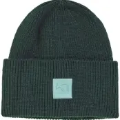 Kari Traa Kyte Beanie Pine