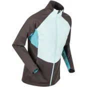 Dahlie Jacket Challenge 2.0 W Längdskidjacka Nine Iron, M