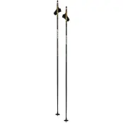 Swix Dynamic D3 Längdskidstavar, 170 CM