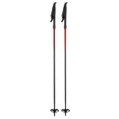 Åsnes Ingstad BC Pole 145 CM | Turskidstavar