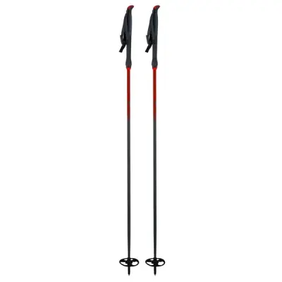 Åsnes Ingstad BC Pole 145 CM | Turskidstavar