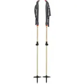 Åsnes Kongsvold 2 SectionPole