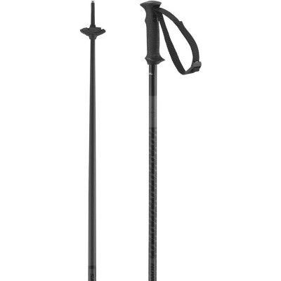 Salomon Polar Access Poles Black