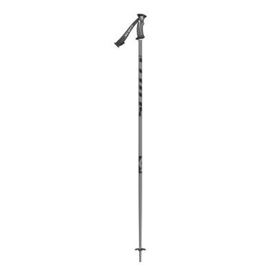 Scott Pole Decree 2a sortering, skönhetsfel Titanium