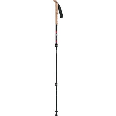 Swix Sonic Mountain Pro,Carbon