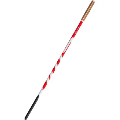 Swix Triac 5.0 Längdskidstavar, 170 CM