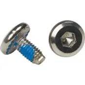 Swix Skruvar för RCT-rullskidor 4-Pack  Rullskidor Reservdelar