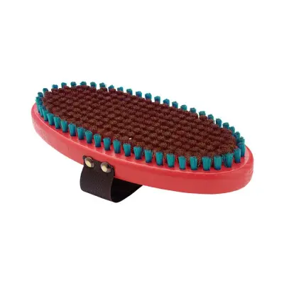 Swix Borste Brons Oval WC Vallatillbehör