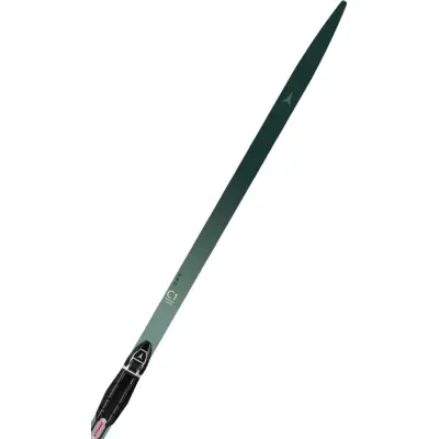 Atomic Pro C1 Skintec Prolink -26 196 CM | Skinskidor